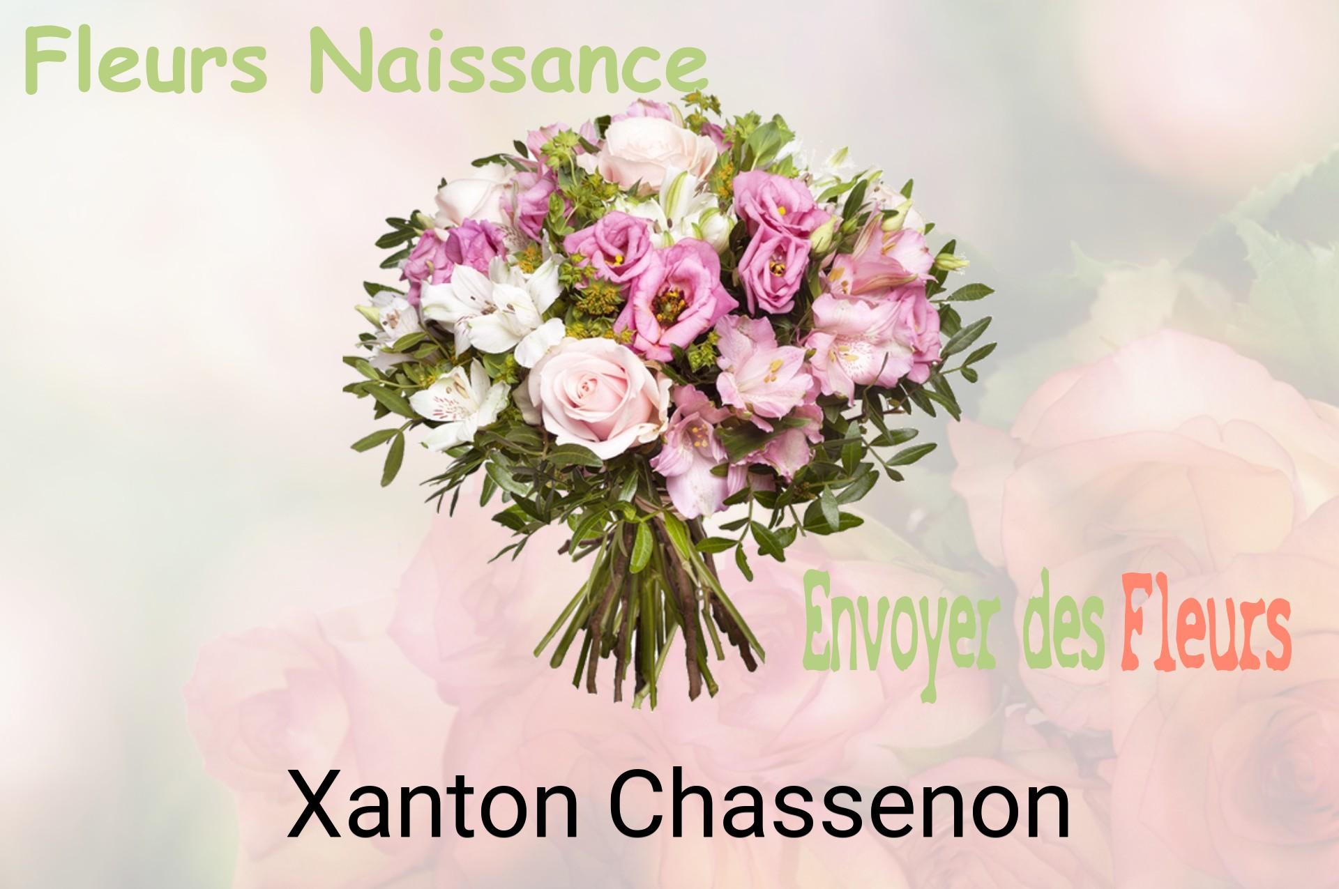 Bouquet de fleurs de naissance livré à Xanton-Chassenon